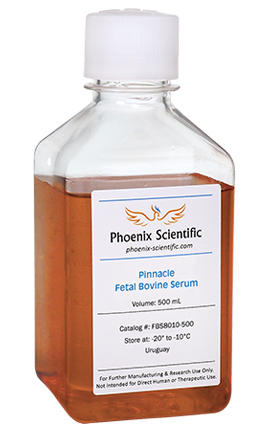 Fetal Bovine Serum